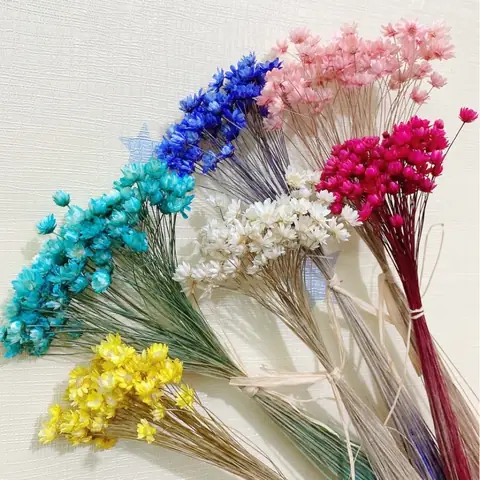 Hoa Khô Trang Trí Là Gì? Hoa Khô Trang Trí Là Gì?