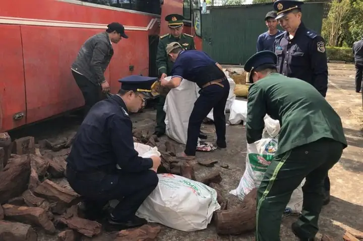 Cù Thị Hoài Thanh: Tiểu Sử, Hành Vi Lừa Đảo Và Bài Học Từ Vụ Án 6 Tỷ Đồng