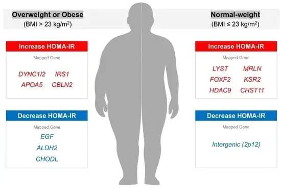 Homa Là Ai? Hé Lộ Toàn Cảnh Hành Trình Streamer Đa Tài Của Đỗ Thuỳ Linh