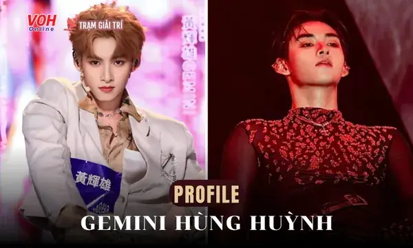 Hùng Huỳnh Gemini: Giải Mã Hành Trình Từ Thực Tập Sinh Kpop Đến 'mỹ Nam Của Năm'