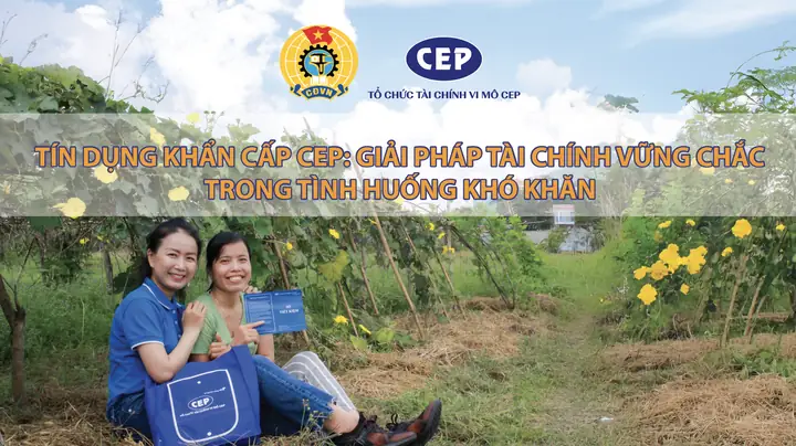 Vai Trò Và Đối Tượng Khách Hàng Mục Tiêu Của Cep: Ai Được Hưởng Lợi Và Tại Sao?