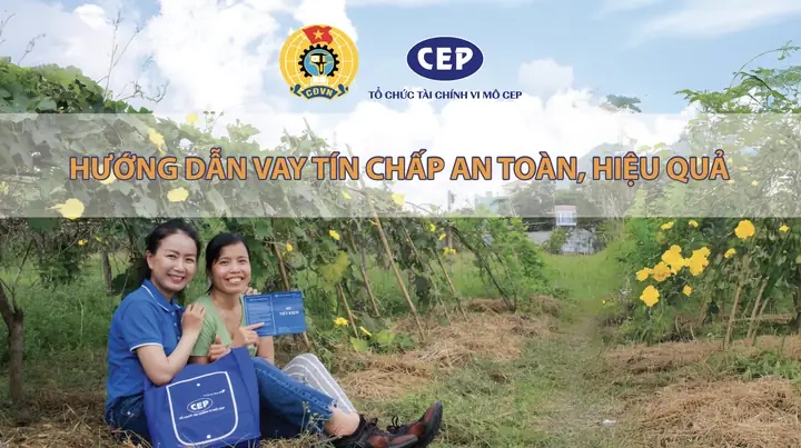 Vai Trò Và Đối Tượng Khách Hàng Mục Tiêu Của Cep: Ai Được Hưởng Lợi Và Tại Sao?