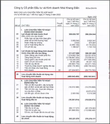 Tìm Hiểu Về Ông Chủ Thực Sự Của Khang Điền: Ai Đang Định Hình Tương Lai Của Tập Đoàn?