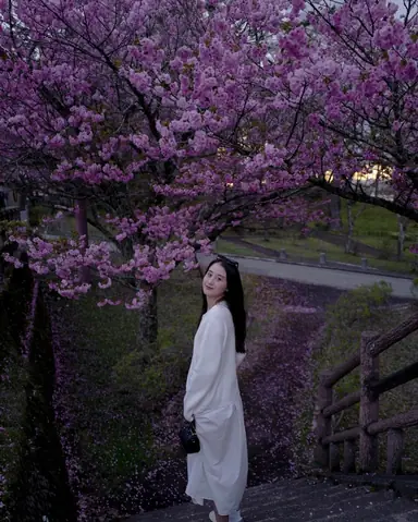 Kiều Ly Phạm Là Ai? Tiểu Sử, Sự Nghiệp Và Đời Tư Của Nữ Doanh Nhân Tài Giỏi