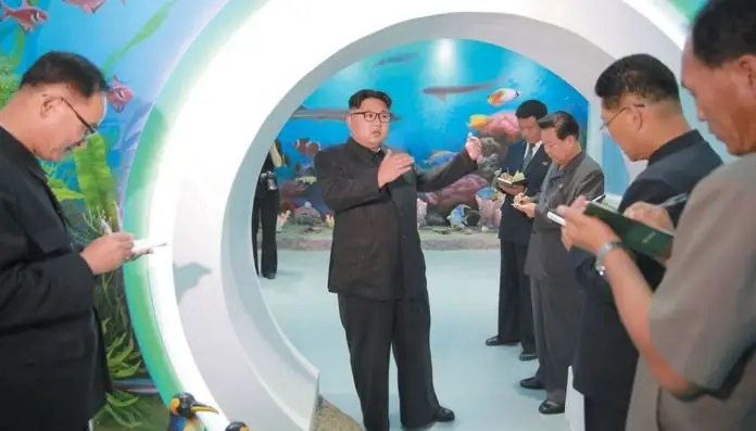 Kim Jong-un Là Ai? Cuộc Đời, Quyền Lực Và Những Bí Ẩn Đằng Sau Nhà Lãnh Đạo Triều Tiên