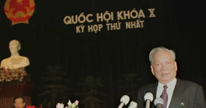 Tiểu Sử Đại Tướng Lê Đức Anh: Người Lính Trận Mạc Và Vị Nguyên Thủ Quốc Gia