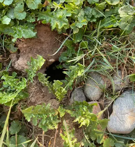 Lỗ Béo Là Ai: Hành Trình Từ Người Xem Đến Nhà Sáng Tạo Nội Dung Hài Hước