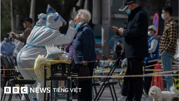Lý Thương Hải Là Ai? Tiểu Sử, Sự Nghiệp Và Những Bí Ẩn Lịch Sử Lý Thương Hải Là Ai? Tiểu Sử, Sự Nghiệp Và Những Bí Ẩn Lịch Sử