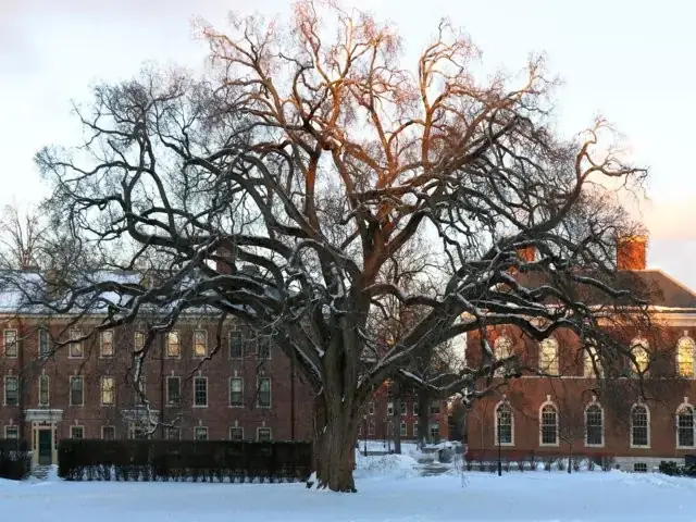 Mark Hughes Là Ai? Tiểu Sử, Sự Nghiệp Huyền Thoại Bóng Đá Anh
