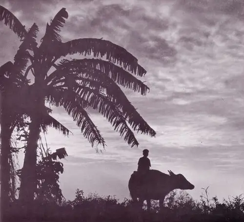 Minh Tú Là Ai? Tiểu Sử, Sự Nghiệp Và Những Điều Bạn Cần Biết