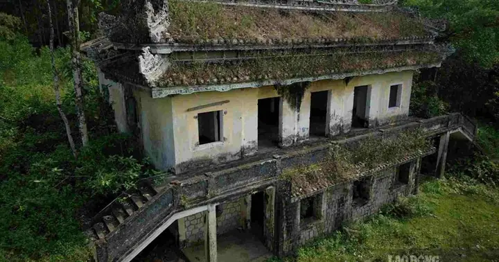 Ngô Đình Cẩn: Vai Trò, Tính Cách Và Sự Thật Lịch Sử Ngô Đình Cẩn: Vai Trò, Tính Cách Và Sự Thật Lịch Sử