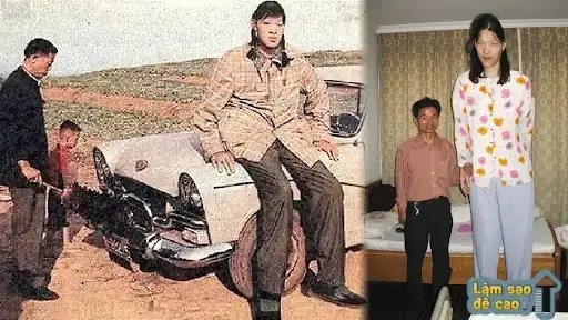 Những Người Cao Nhất Thế Giới: Kỷ Lục, Câu Chuyện Đằng Sau Và Bài Học Về Sức Khỏe