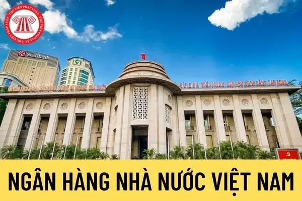 Cẩm Nang Toàn Diện Về Ngân Hàng Nhà Nước Việt Nam: Vị Thế, Tổ Chức Và Vai Trò Lãnh Đạo