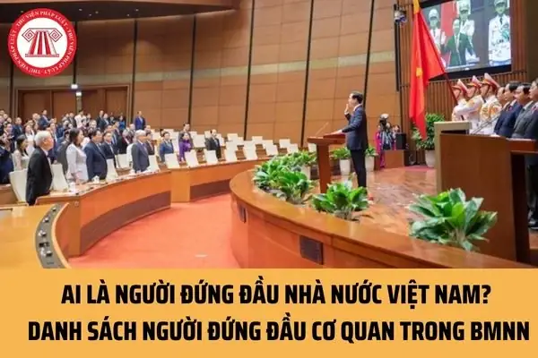 Cẩm Nang Toàn Diện Về Ngân Hàng Nhà Nước Việt Nam: Vị Thế, Tổ Chức Và Vai Trò Lãnh Đạo