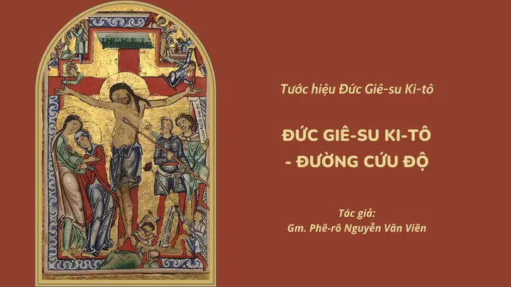 Con Người Là Gì? Khám Phá Bản Chất Sâu Sắc Qua Lăng Kính Khoa Học & Triết Học