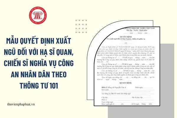 Người Sử Dụng Lao Động Là Ai? Quyền Và Nghĩa Vụ Pháp Lý Cần Nắm Rõ