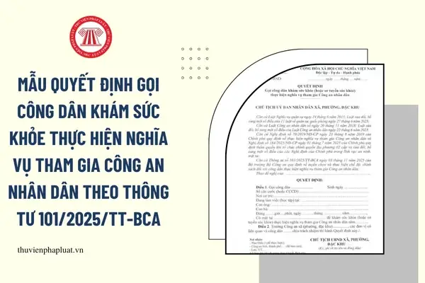 Người Sử Dụng Lao Động Là Ai? Quyền Và Nghĩa Vụ Pháp Lý Cần Nắm Rõ