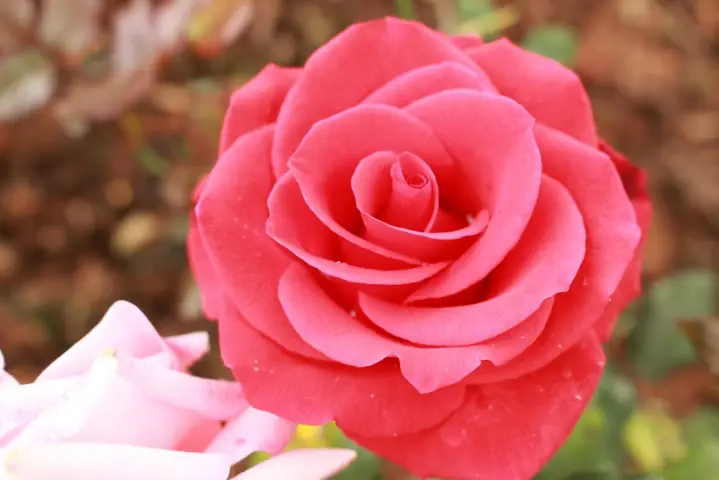 Người Yêu Tôi Là Ai: Làm Thế Nào Để Nhận Biết Và Tìm Kiếm Một Nửa Đích Thực? Người Yêu Tôi Là Ai: Làm Thế Nào Để Nhận Biết Và Tìm Kiếm Một Nửa Đích Thực?