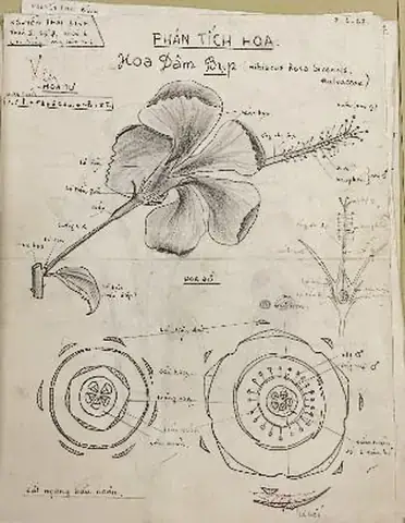 Nguyễn Thái Bình: Hành Trình Âm Nhạc Và Những Gì Bạn Cần Biết Nguyễn Thái Bình: Hành Trình Âm Nhạc Và Những Gì Bạn Cần Biết