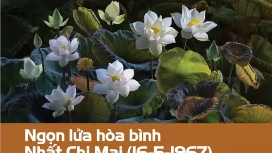 Giải Mã "nhất Chi Mai": Từ Biểu Tượng Văn Hóa Việt Đến Danh Xưng Nhân Vật