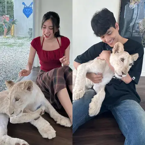 Nicky Nachat Là Ai? Hành Trình Từ Mc Đa Tài Đến Ngôi Sao Youtube Của Thái Lan Nicky Nachat Là Ai? Hành Trình Từ Mc Đa Tài Đến Ngôi Sao Youtube Của Thái Lan