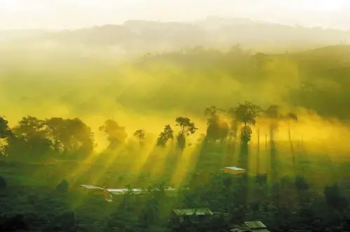 Nơ Trang Long Là Ai? Cuộc Đời Và Sự Nghiệp Vị Thủ Lĩnh Anh Hùng Của Tây Nguyên