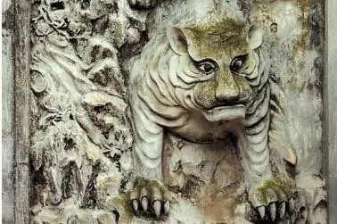 Bầu Đức Là Ai? Chân Dung Đương Viện "ông Hổ" Lãnh Đạo Hoàng Anh Gia Lai