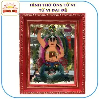 Ông Tử Vi Là Ai? Giải Mã Sức Hút Của Hiện Tượng Tử Vĩ Truyền Mạng