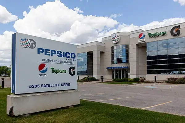 Phạm Phú Ngọc Trai: Tiểu Sử, Sự Nghiệp Và Những Góc Khuất Ít Ai Biết