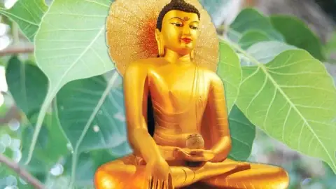 Phật Dược Sư: Vị Y Vương Chữa Lành Bệnh Tật Thể Xác Và Tinh Thần Phật Dược Sư: Vị Y Vương Chữa Lành Bệnh Tật Thể Xác Và Tinh Thần