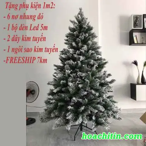 Cây Thông Noel Và Phụ Kiện Trang Trí Giáng Sinh Hoa Chí Tín