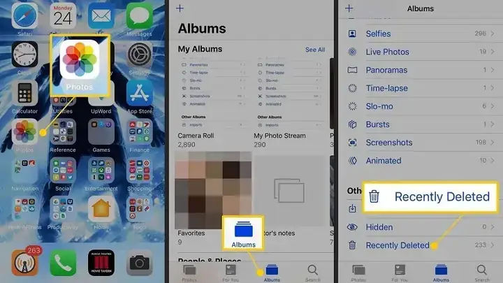 Phúc Vlog Là Ai? Cuộc Đời, Sự Nghiệp Và Những Góc Nhìn Đa Chiều Về Youtuber Triệu View