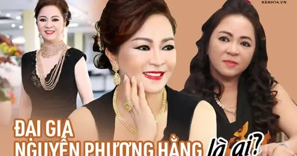 Nguyễn Phương Hằng Là Ai? Sự Thật Đằng Sau Vụ Vụ Án Nổi Loạn Mạng Xã Hội
