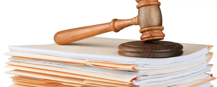 Nguyễn Phương Hằng Là Ai? Sự Thật Đằng Sau Vụ Vụ Án Nổi Loạn Mạng Xã Hội