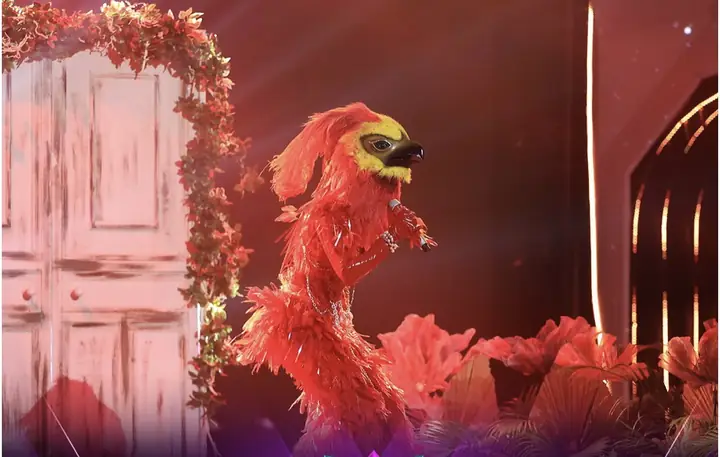 Phượng Hoàng Lửa: Hé Lộ Danh Tính Đằng Sau Màn Nghi Vấn Của Giới Trẻ