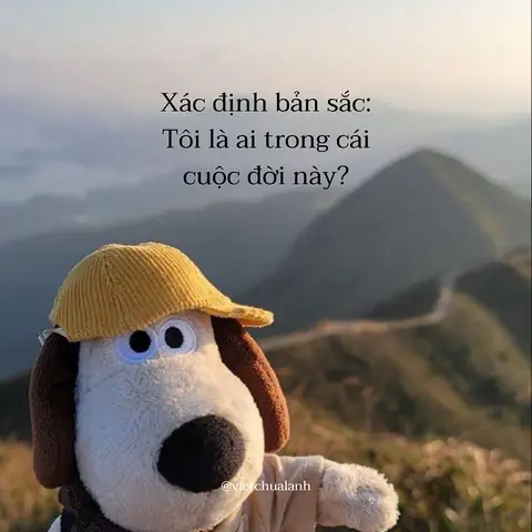 Vai Trò Của Bạn Trong Cuộc Sống: Làm Thế Nào Để Tìm Ra Câu Trả Lời?