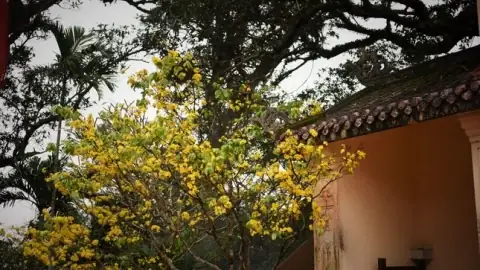 Thầy Minh Niệm Là Ai? Tiểu Sử, Sự Nghiệp Và Góc Nhìn Toàn Cảnh