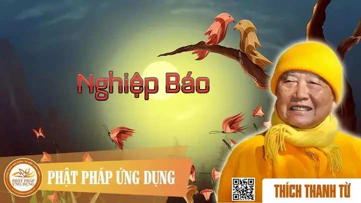 Hòa Thượng Thích Thanh Từ Là Ai? Cuộc Đời, Sự Nghiệp Và Di Sản Vĩ Đại