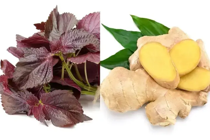 Danh Xưng "tía" Trong Showbiz Việt: Giải Mã Ý Nghĩa Và Những Nhân Vật Biểu Tượng