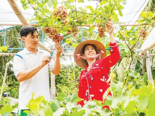 Danh Xưng "tía" Trong Showbiz Việt: Giải Mã Ý Nghĩa Và Những Nhân Vật Biểu Tượng