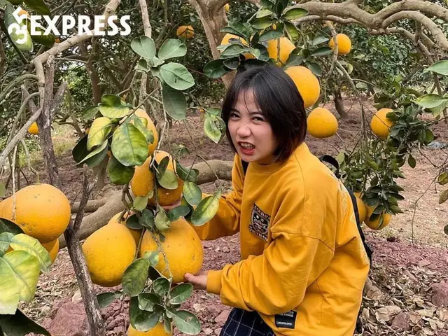 Tiểu Màn Thầu Là Ai? Hành Trình Từ Sinh Viên Đến Hot Tiktoker Ẩm Thực Triệu View Tiểu Màn Thầu Là Ai? Hành Trình Từ Sinh Viên Đến Hot Tiktoker Ẩm Thực Triệu View