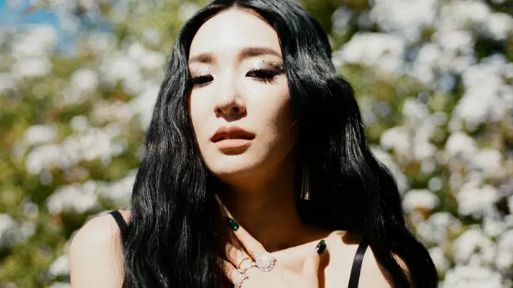 Tiffany Young Là Ai? Hành Trình Từ Thành Viên Snsd Đến Ngôi Sao Quốc Tế