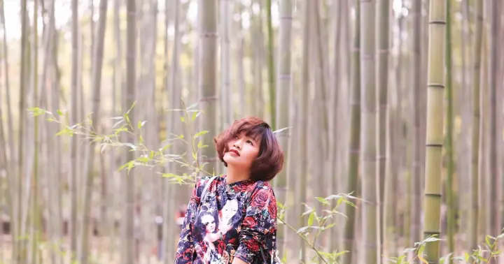 Tìm Hiểu Về Tô Lan Hương: Những Thông Tin Cần Biết Về Nhân Vật Này