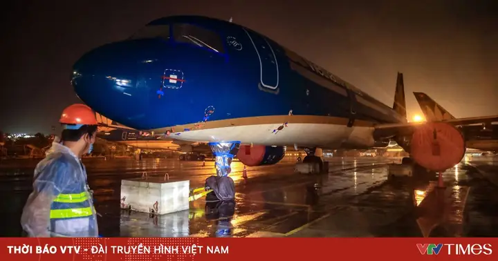 Tô Tử Hà Là Ai: Tiểu Sử, Sự Nghiệp Và Hành Trình Nghệ Thuật Đáng Ngưỡng Mộ Tô Tử Hà Là Ai: Tiểu Sử, Sự Nghiệp Và Hành Trình Nghệ Thuật Đáng Ngưỡng Mộ
