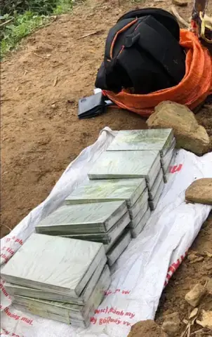 Tống Văn Công Là Ai? Hé Lộ Hành Trình Sự Nghiệp Và Sức Ảnh Hưởng Của Nam Diễn Viên Thực Lực