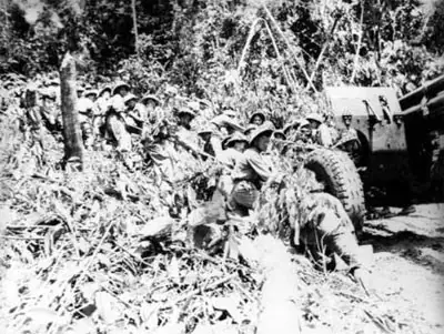 Trần Đình Là Ai? Tiểu Sử, Sự Nghiệp Và Những Thông Tin Đầy Đủ Nhất