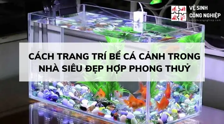 Bể Cá Cảnh Bể Cá Cảnh