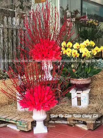 Bình Nụ Tầm Xuân Chưng Tết - Khu Vườn Trong Thành Phố