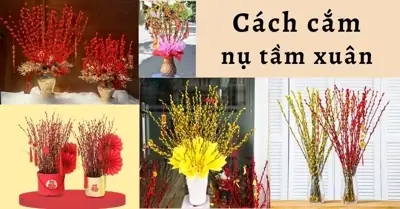 Cách Cắm Nụ Tầm Xuân Đơn Giản, Không Rụng, Cắm Hoa Tết 2024 ...
