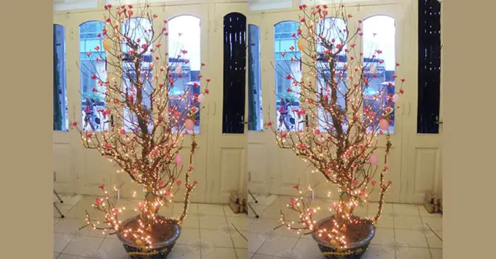 Vì Sao Nên Trang Trí Cây Đào Bằng Đèn Nháy Vào Dịp Tết?